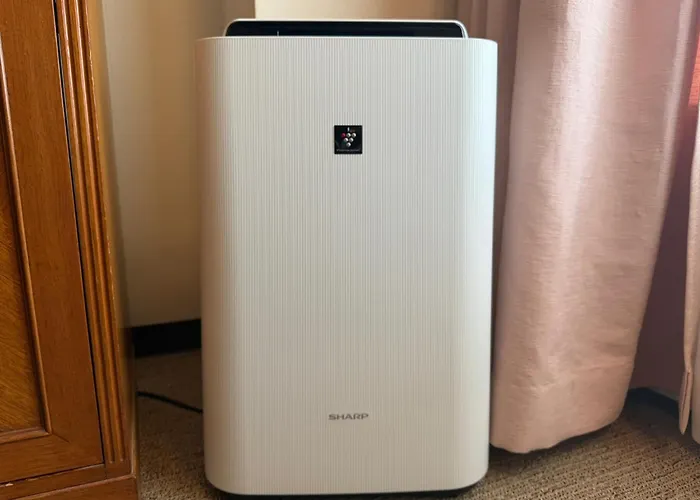 Bellevue Garden Hotel Kansai International Airport Izumisano